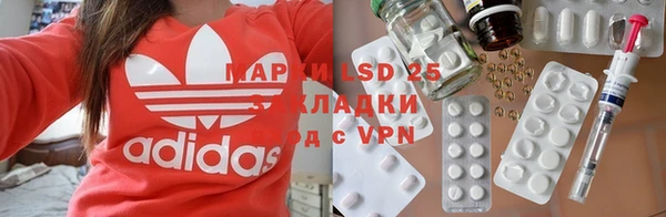 стаф Осинники