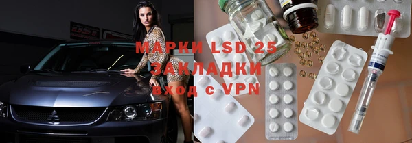 стаф Осинники