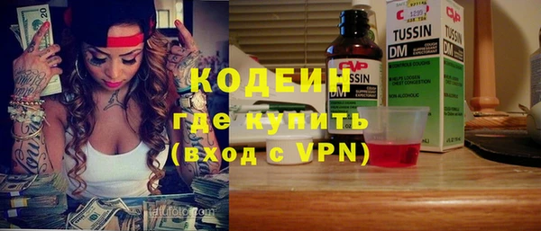 стаф Осинники