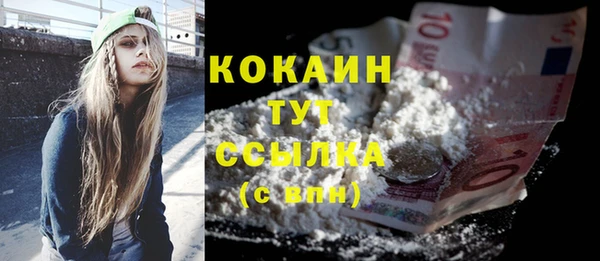 стаф Осинники