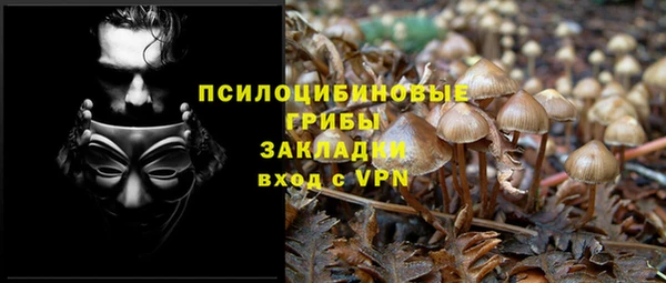 стаф Осинники