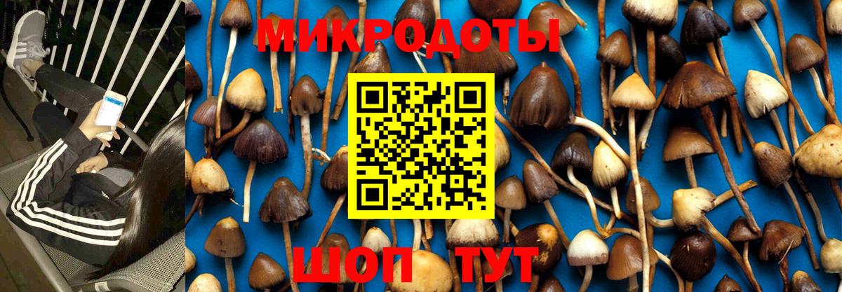 Псилоцибиновые грибы GOLDEN TEACHER  Галлюциногенные грибы ЛСД  Вход с VPN  Ржев 